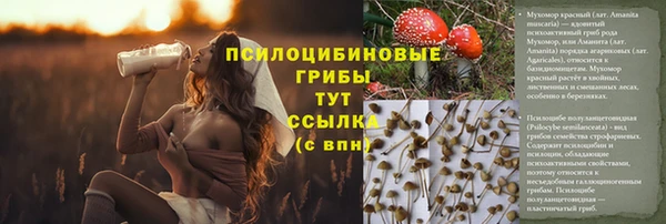 бутират Алексеевка