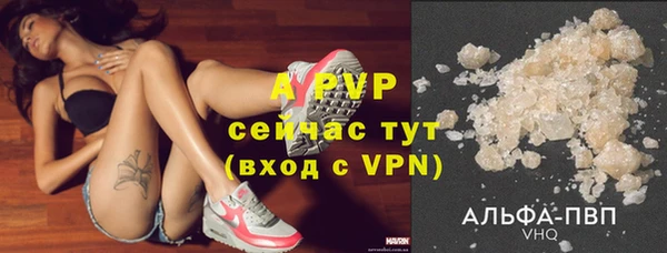 стаф Алексин