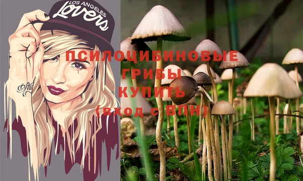 бутират Алексеевка