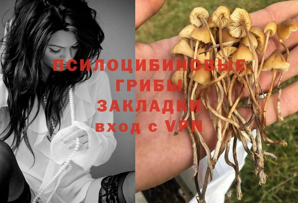 бутират Алексеевка