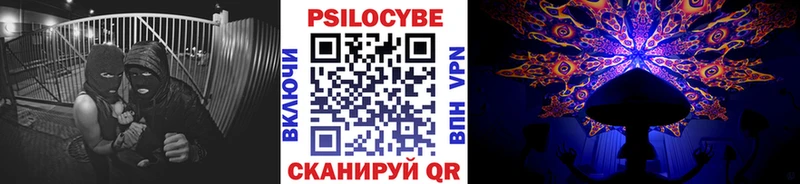 закладка  Анжеро-Судженск  Псилоцибиновые грибы мицелий 
